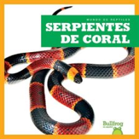 Serpientes_de_coral__Coral_Snakes_